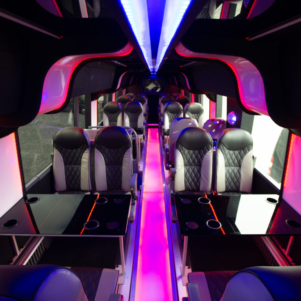 Vip buses img 8915