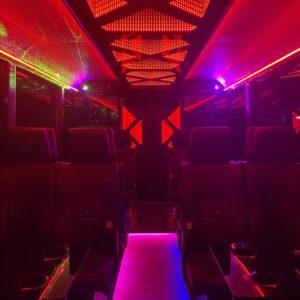 16 seater party bus interior