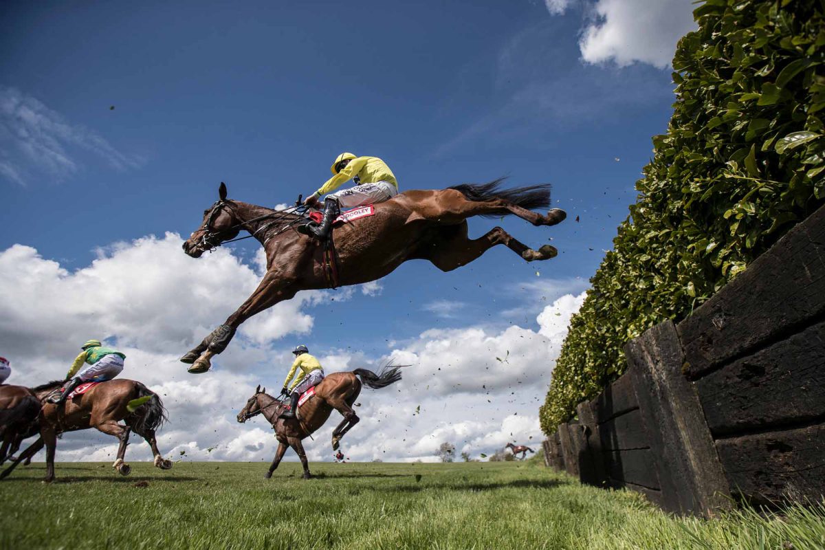 Horse jumping at Punchestown racecourse, a VIP Buses race day destination