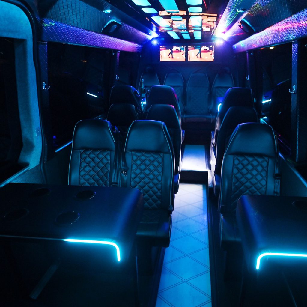 VIP Buses 2010 Mercedes Sprinter 16 Seater Party Bus aisle forward screens at the bulkhead