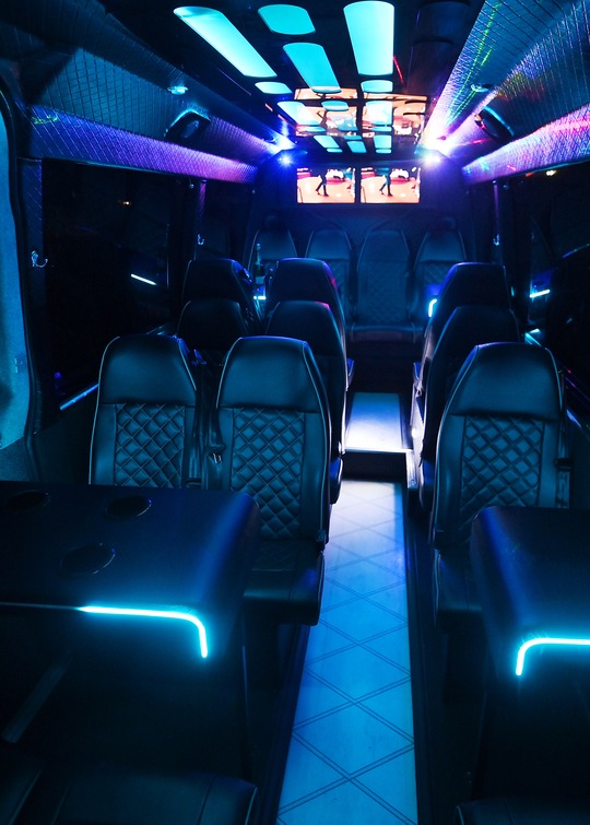 VIP Buses 2010 Mercedes Sprinter 16 Seater Party Bus aisle forward screens at the bulkhead