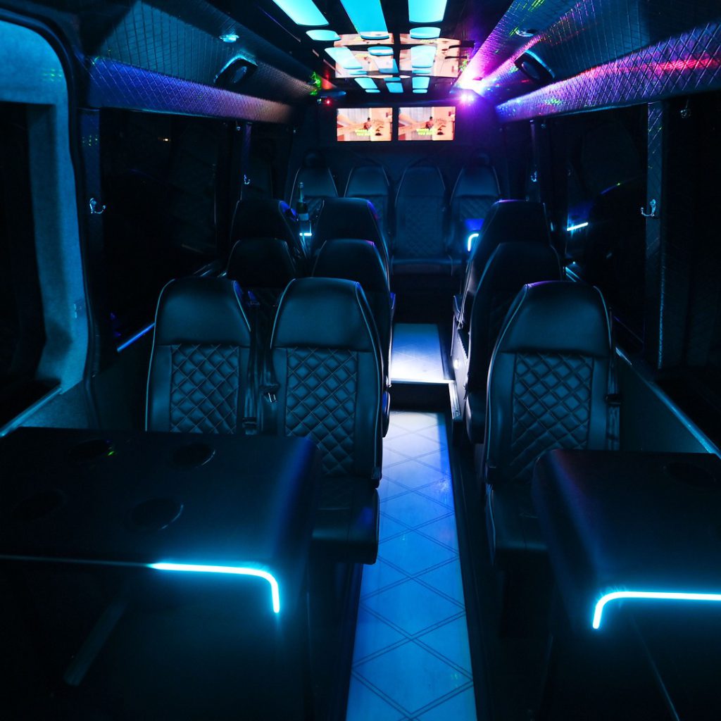 VIP Buses 2010 Mercedes Sprinter 16 Seater Party Bus aisle forward screens at the far end