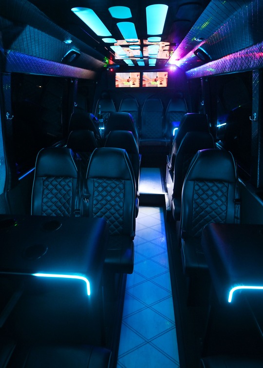VIP Buses 2010 Mercedes Sprinter 16 Seater Party Bus aisle forward screens at the far end