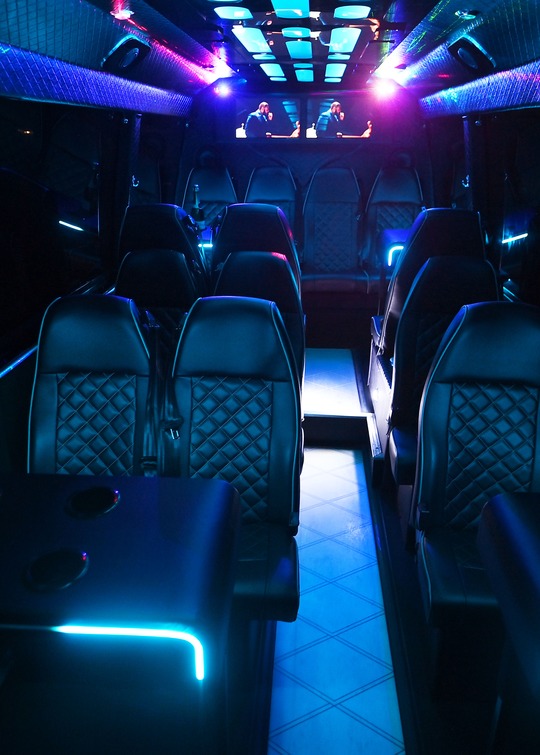 VIP Buses 2010 Mercedes Sprinter 16 Seater Party Bus aisle forward with performers on the screens