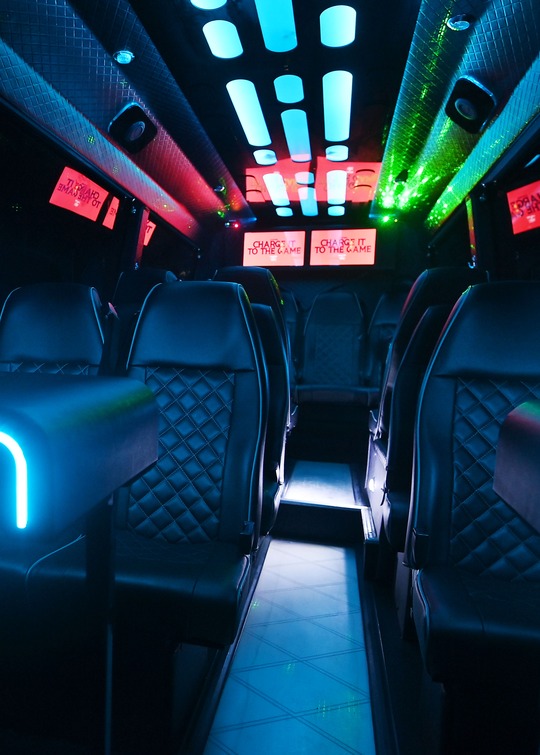 VIP Buses 2010 Mercedes Sprinter 16 Seater Party Bus aisle with red screens along both sides