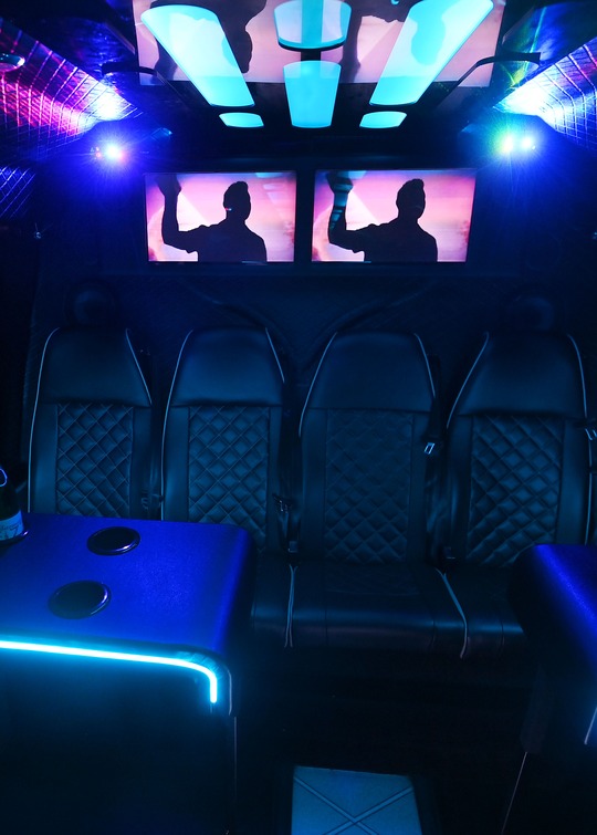 VIP Buses 2010 Mercedes Sprinter 16 Seater Party Bus rear bench square on with screens above