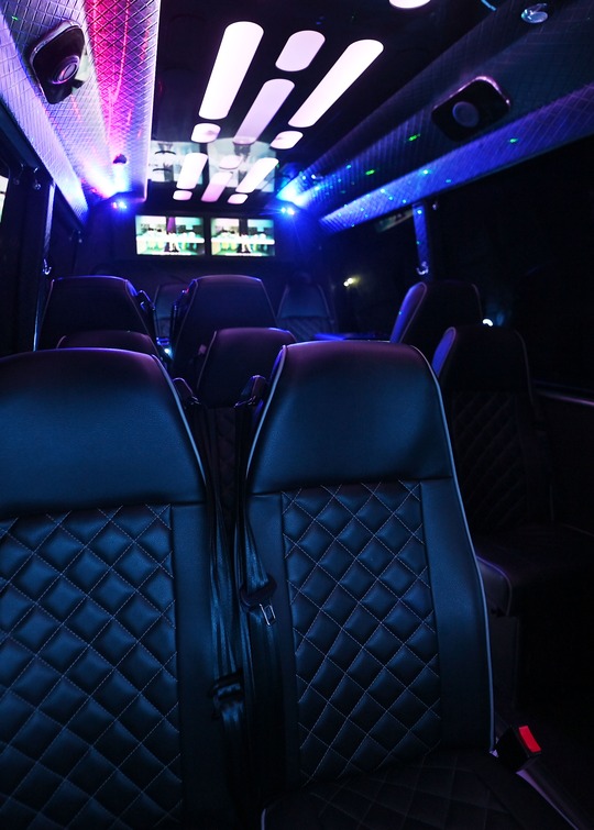 VIP Buses 2010 Mercedes Sprinter 16 Seater Party Bus seat backs with the cabin and screens behind