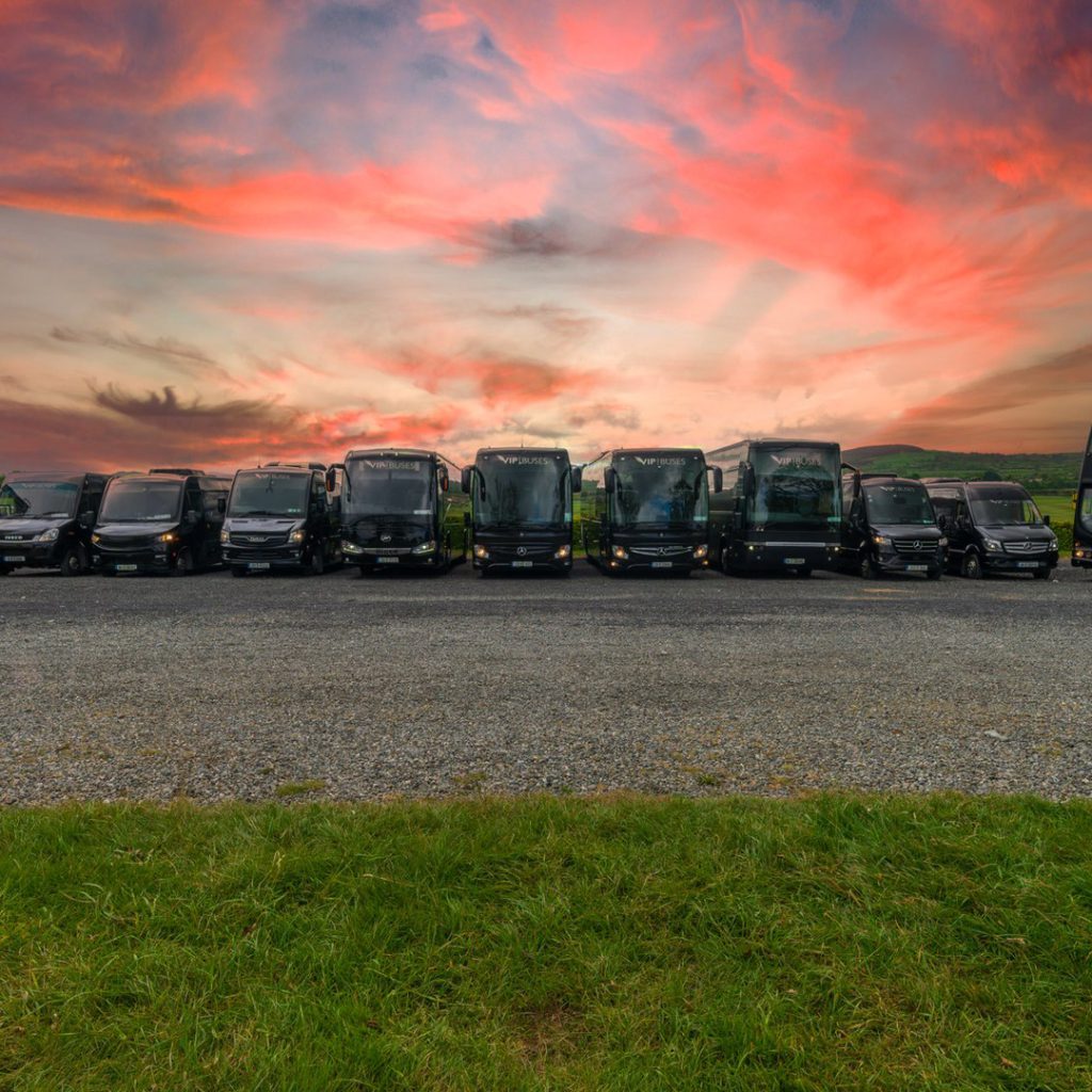 VIP Buses lineup the full at sunset with grass in the foreground