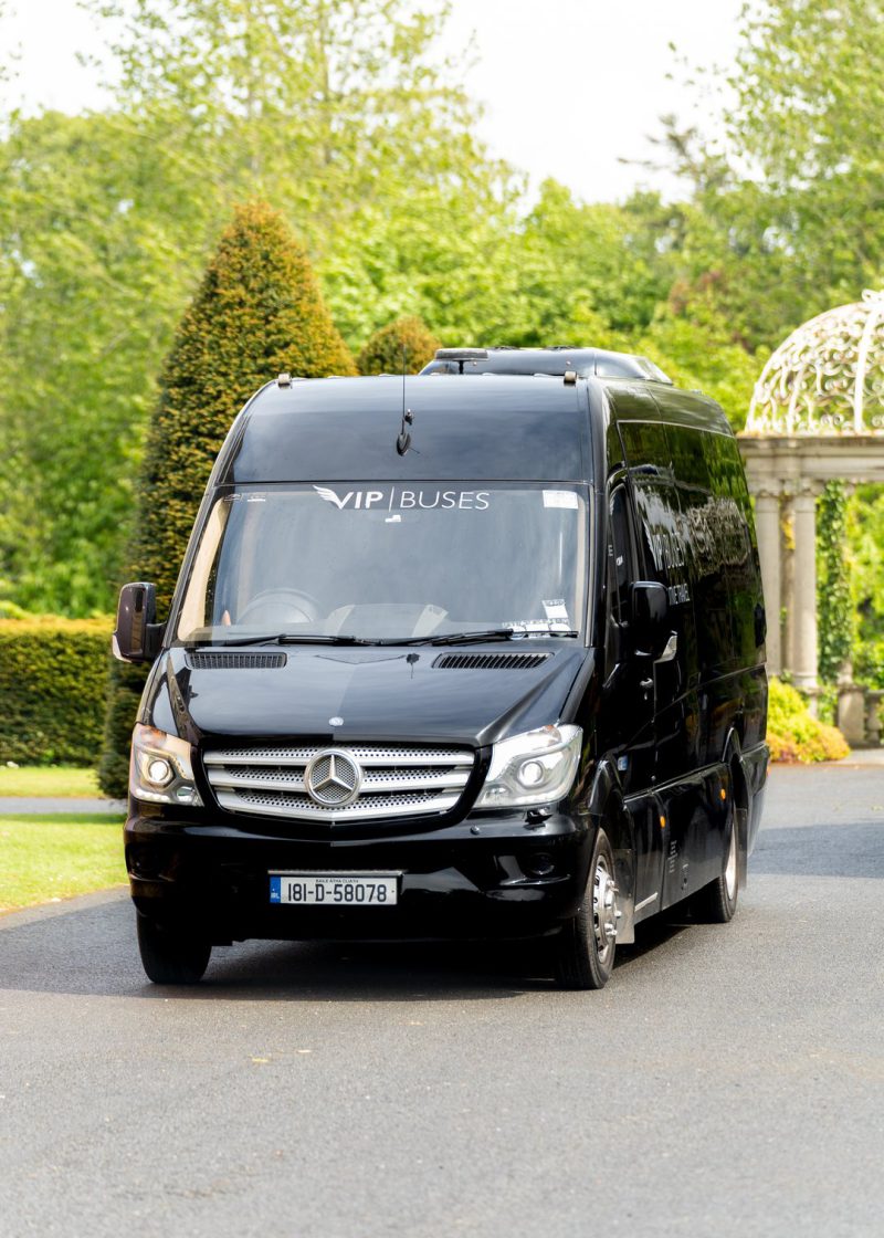 VIP Buses Mercedes Sprinter 9 Seater Minibus approaching down a tree lined drive