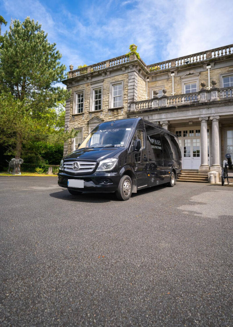 VIP Buses Mercedes Sprinter 9 Seater Minibus low angle with a stone elephant behind