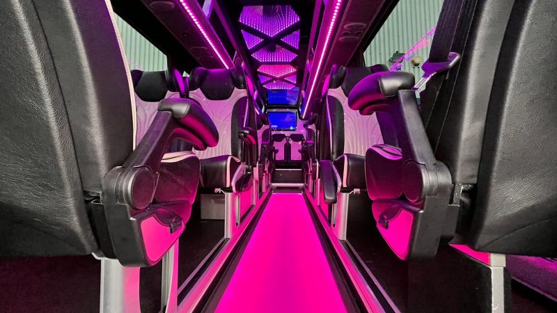 22 seater party bus